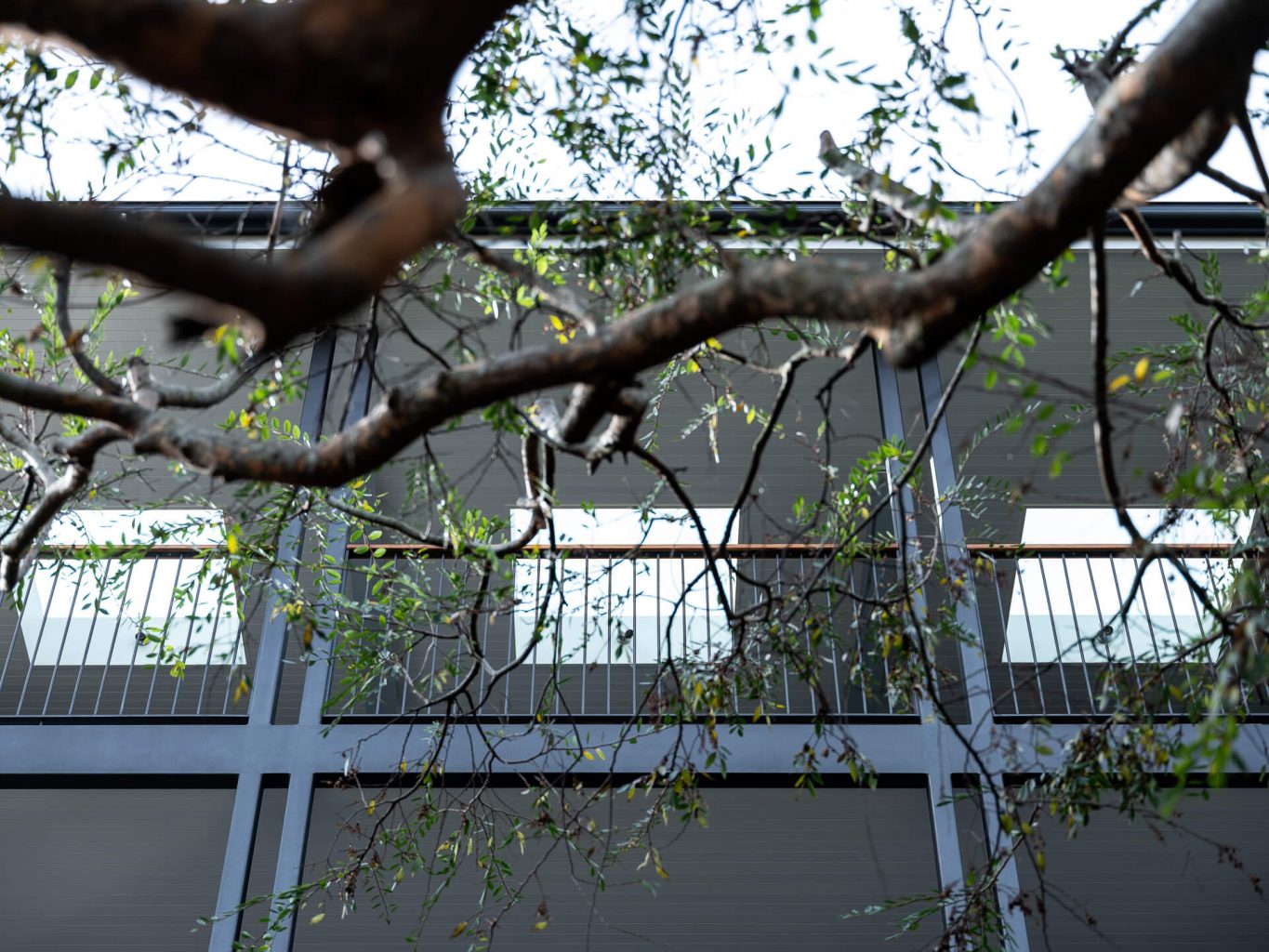 Archeden_Bertha Rd_0379